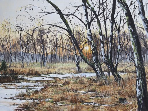 Strensall Common Sunset