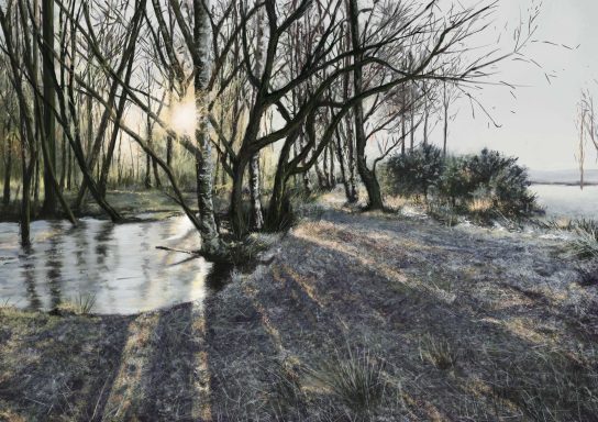 Winter on Strensall Common